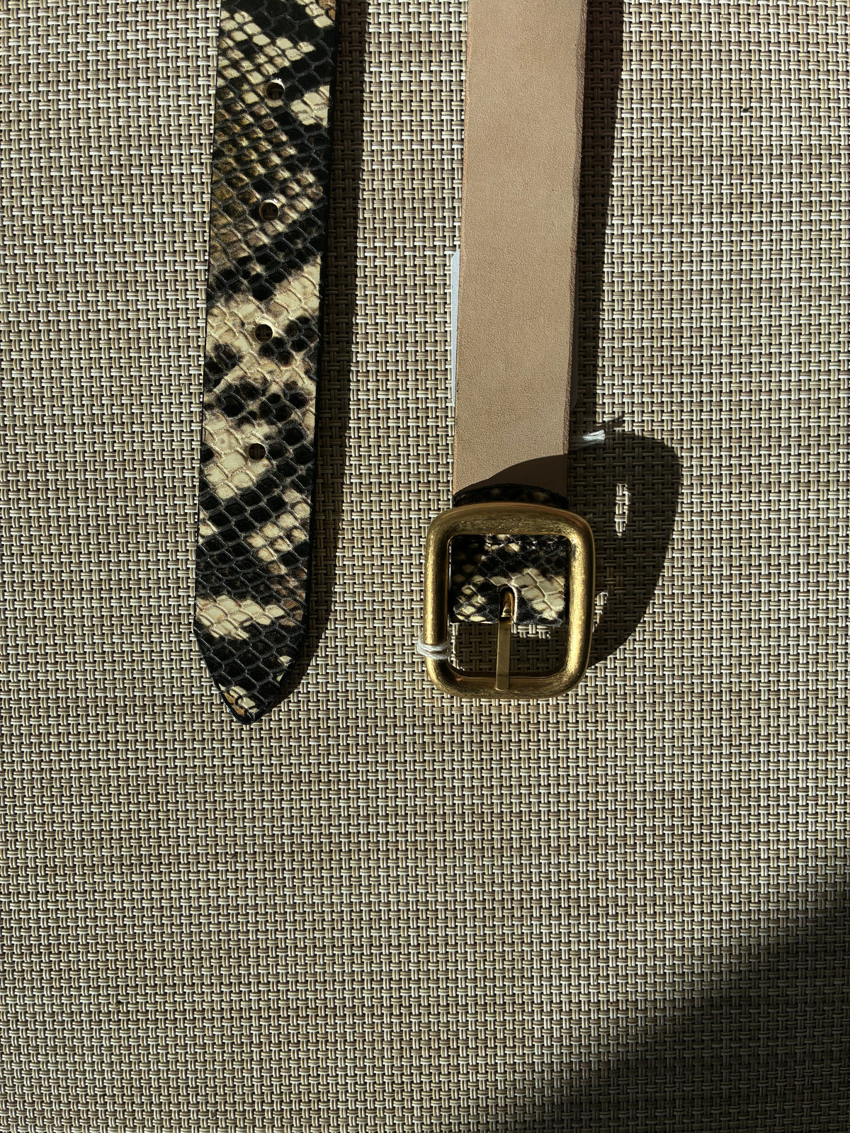 Black Python w/ Gold Buckle Belt