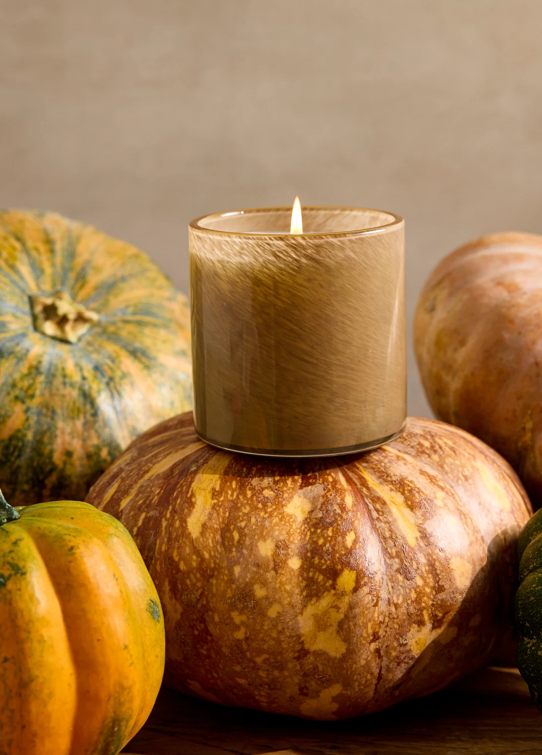 Pumpkin Seed & Sandalwood Candle - Signature 15.5 oz