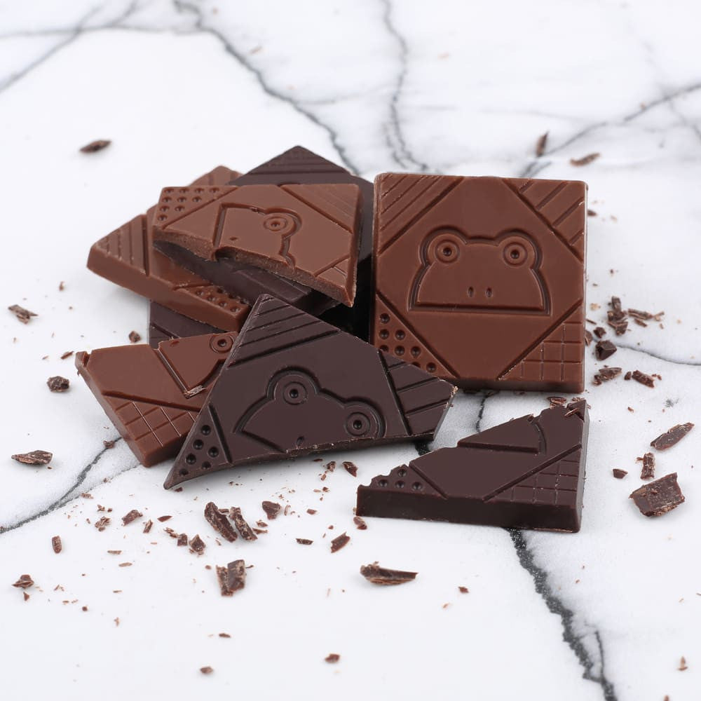 Choc des Français Box of 16 Chocolate Squares Art Bio