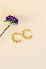 Casa Clara Elvis Hoop Earrings