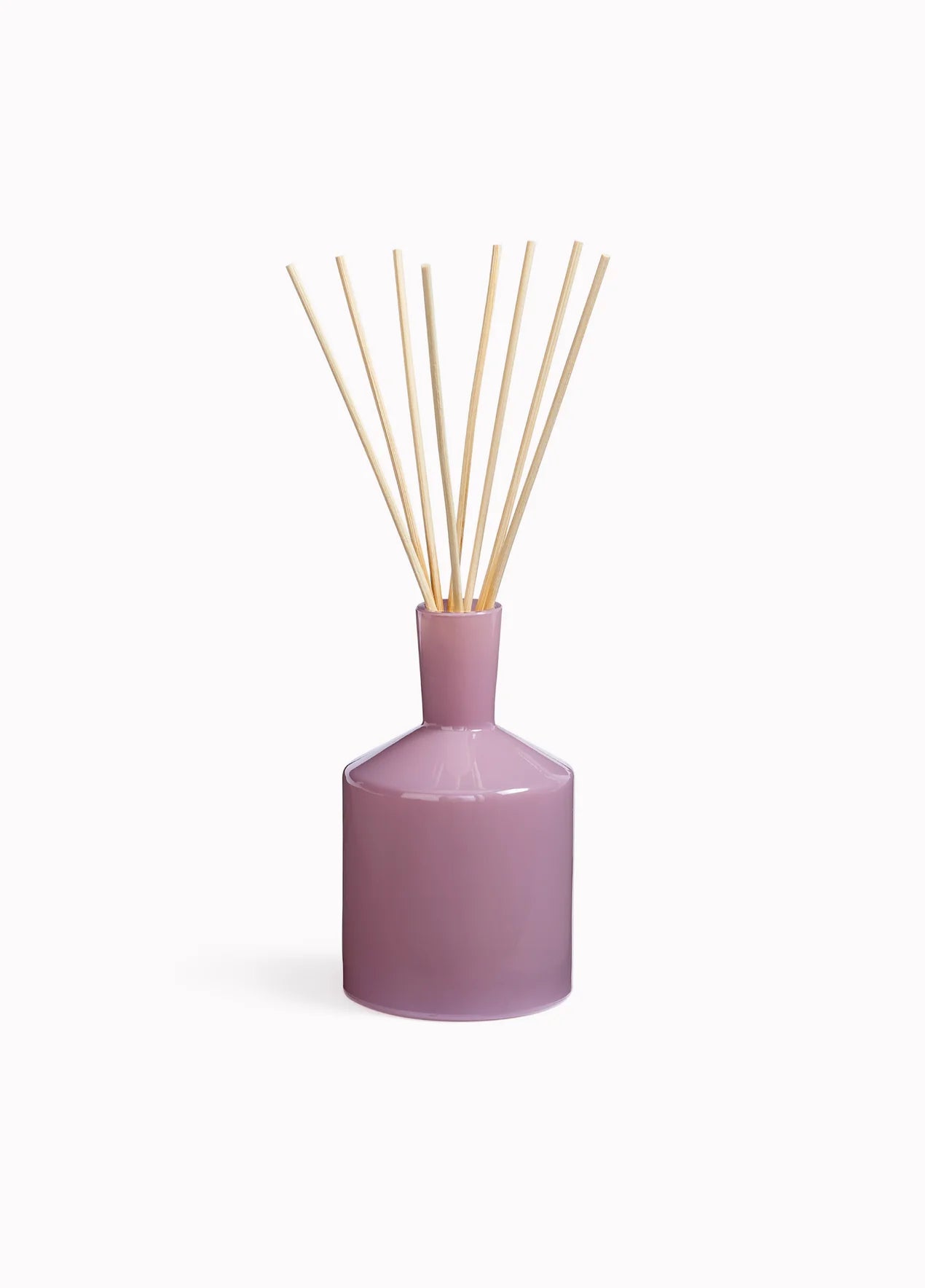 6oz Midnight Cactus Classic Diffuser