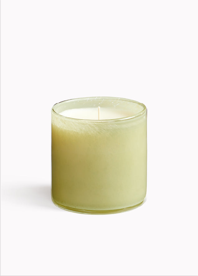 15.5oz Wild Honeysuckle Signature Candle
