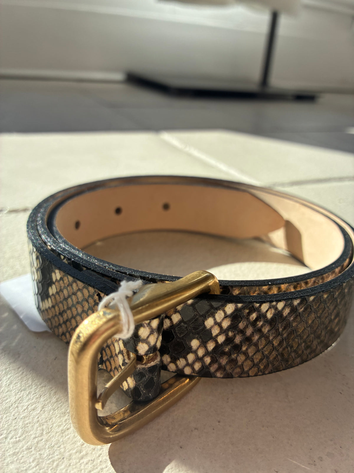 Black Python w/ Gold Buckle Belt
