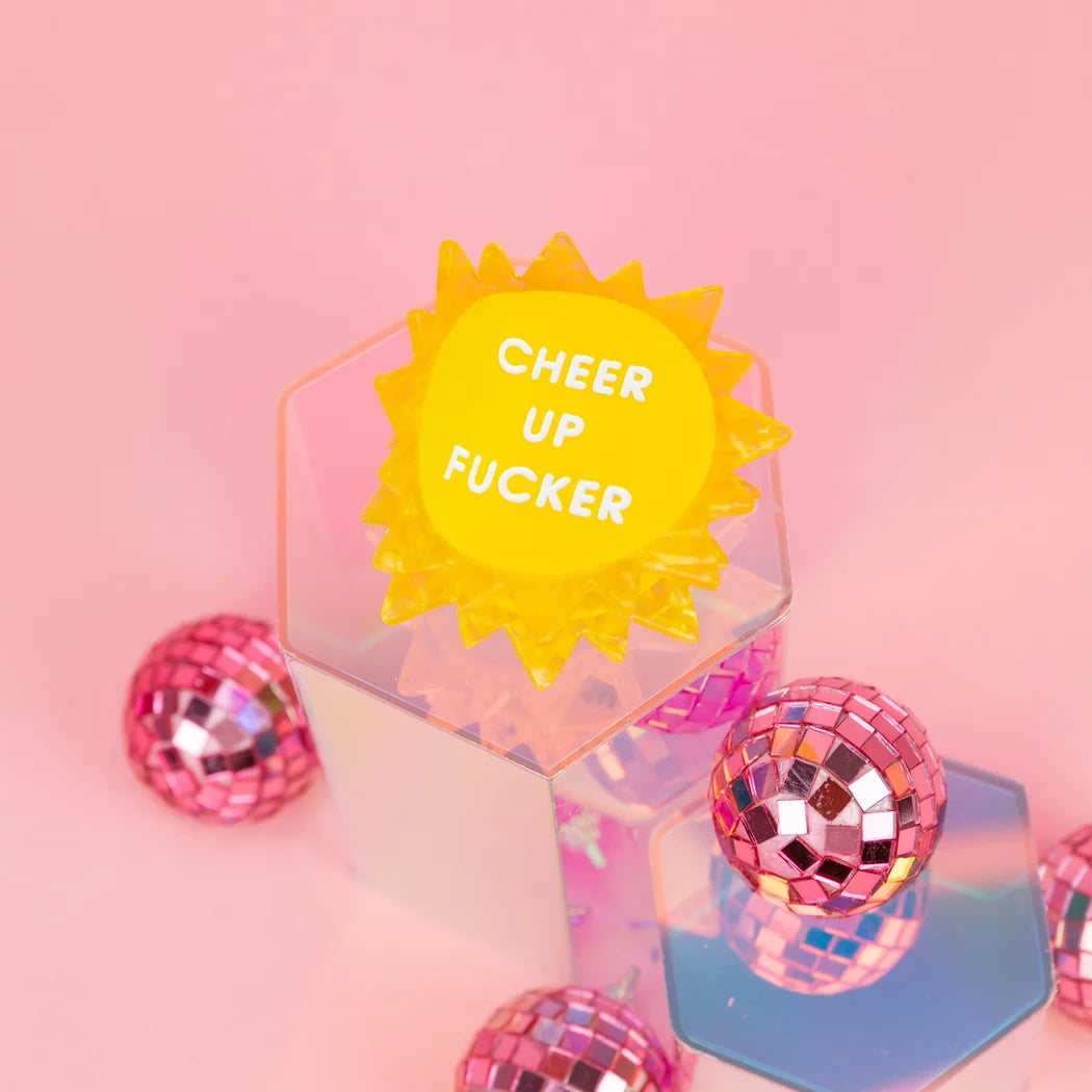 Cheer Up Fucker - Sun Hair Claw Clip
