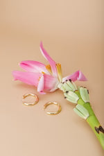 Casa Clara Nebraska Hoop Earrings