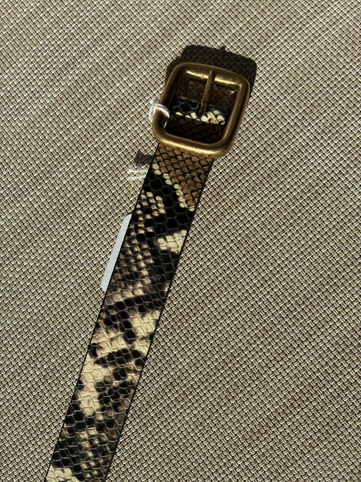 Black Python w/ Gold Buckle Belt