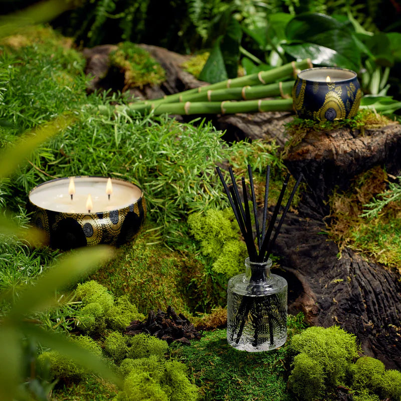 Moso Bamboo Reed Diffuser