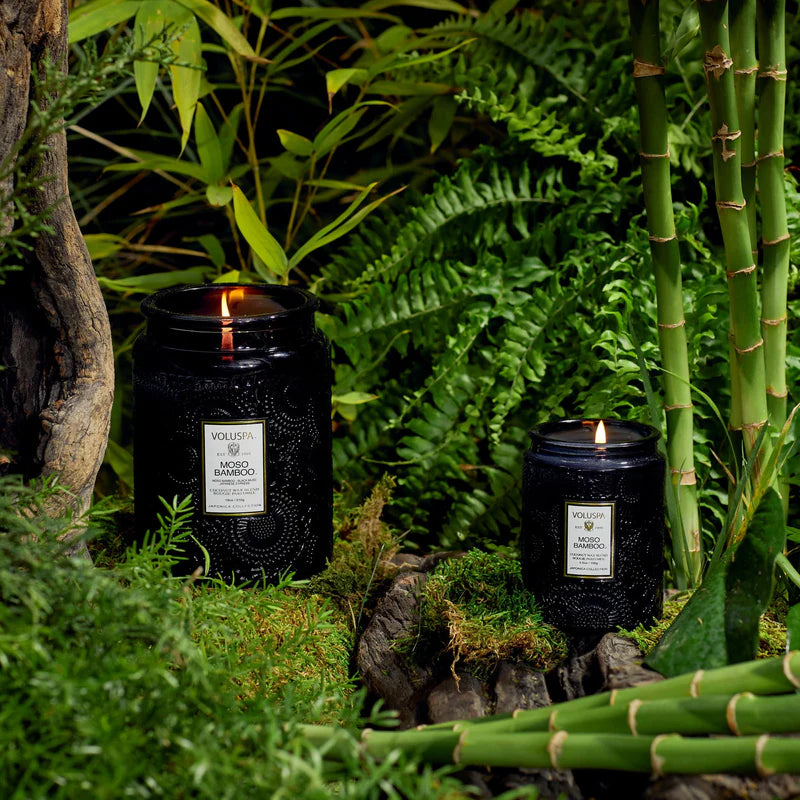 Moso 5.5oz Small Jar