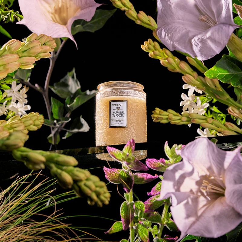 Jasmine Midnight Blooms 5.5oz Small Jar