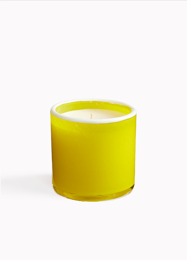 15.5oz White Grapefruit Signature Candle - Cabana