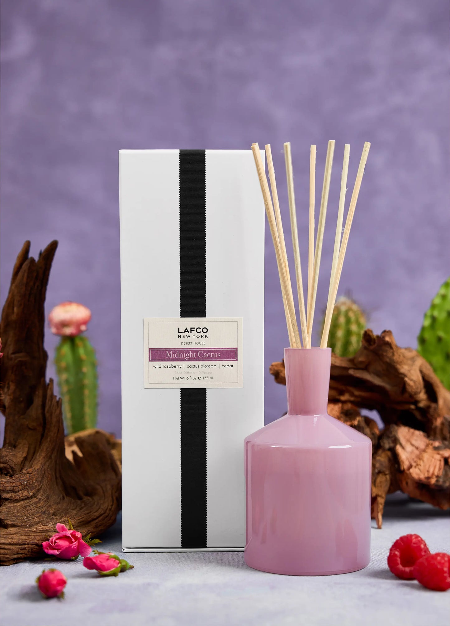 6oz Midnight Cactus Classic Diffuser