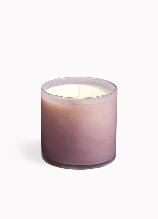 15.5oz Midnight Cactus Candle - Desert House