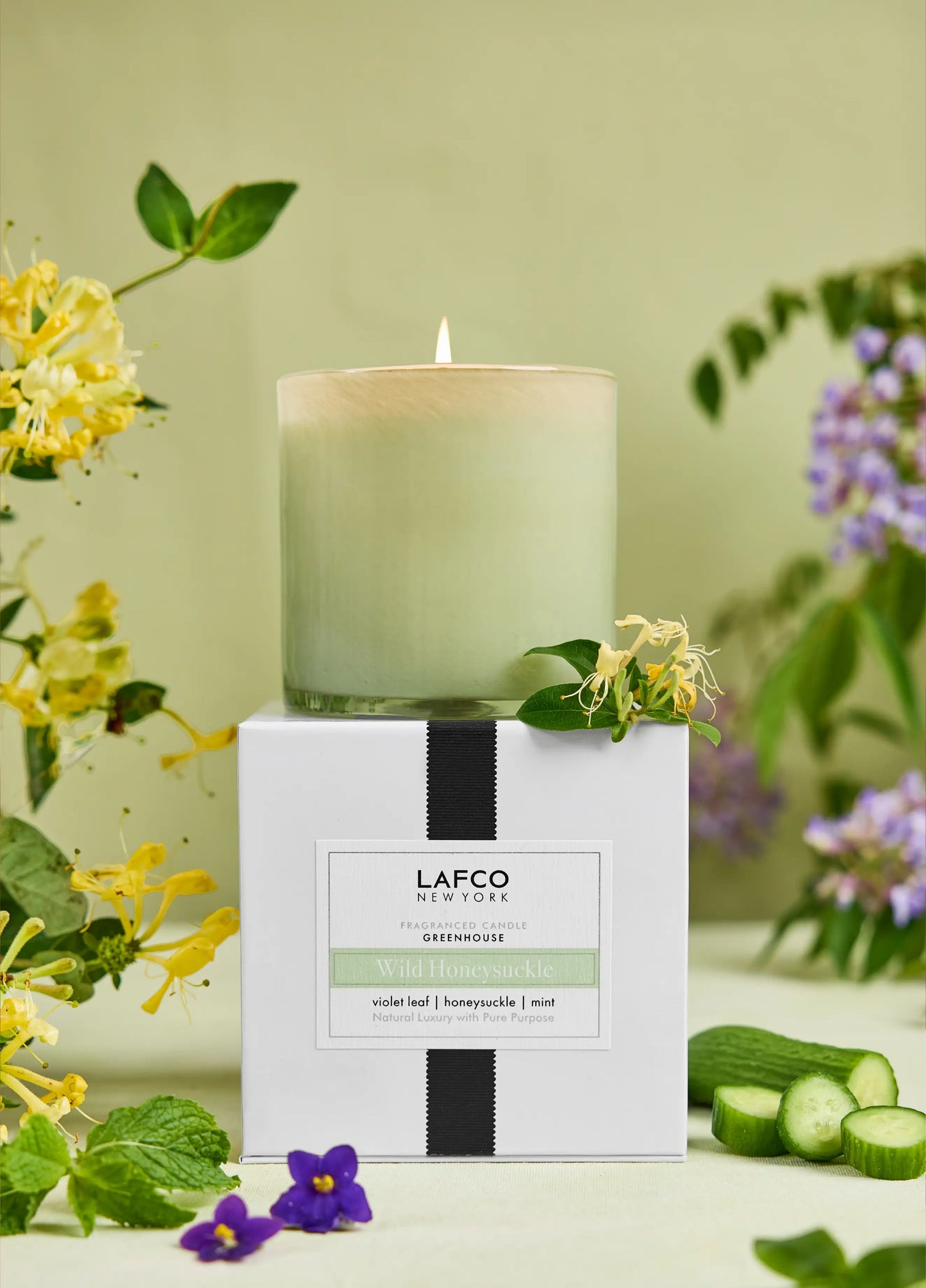 15.5oz Wild Honeysuckle Signature Candle